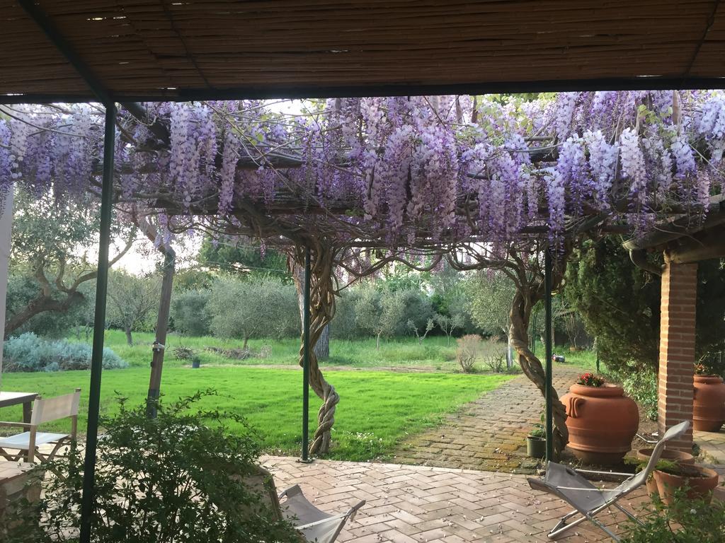 奥尔贝泰洛 Casale Ai Poggi旅馆 外观 照片